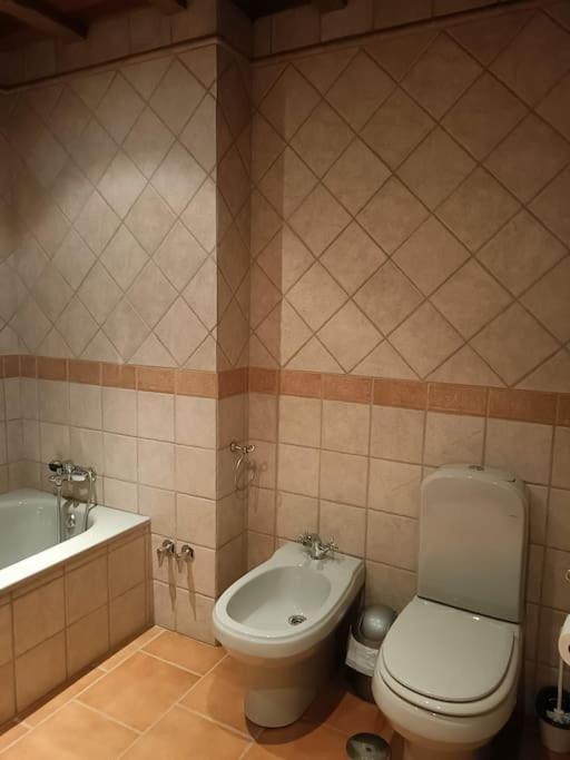 Petra Vakantiehuis Málaga